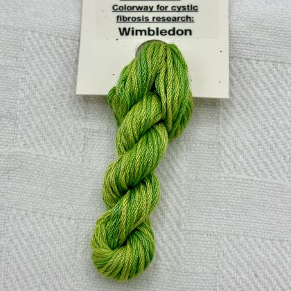 65 Roses Variegated Harmony Silk Thread