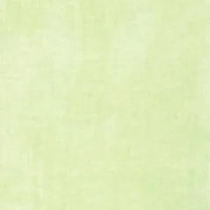 Winter Mint