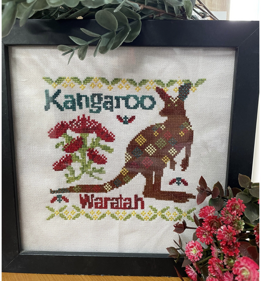 Kangaroo Waratah